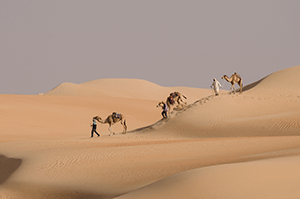 the expedition is on foot and camels